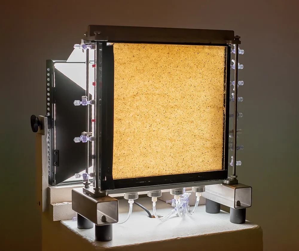 A sand column from the lab is displayed at the Modern Fuel ARC Sand column from the lab