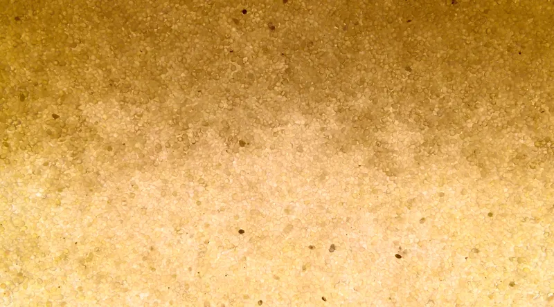 Between the Sand - Phase 1 - In the Lab