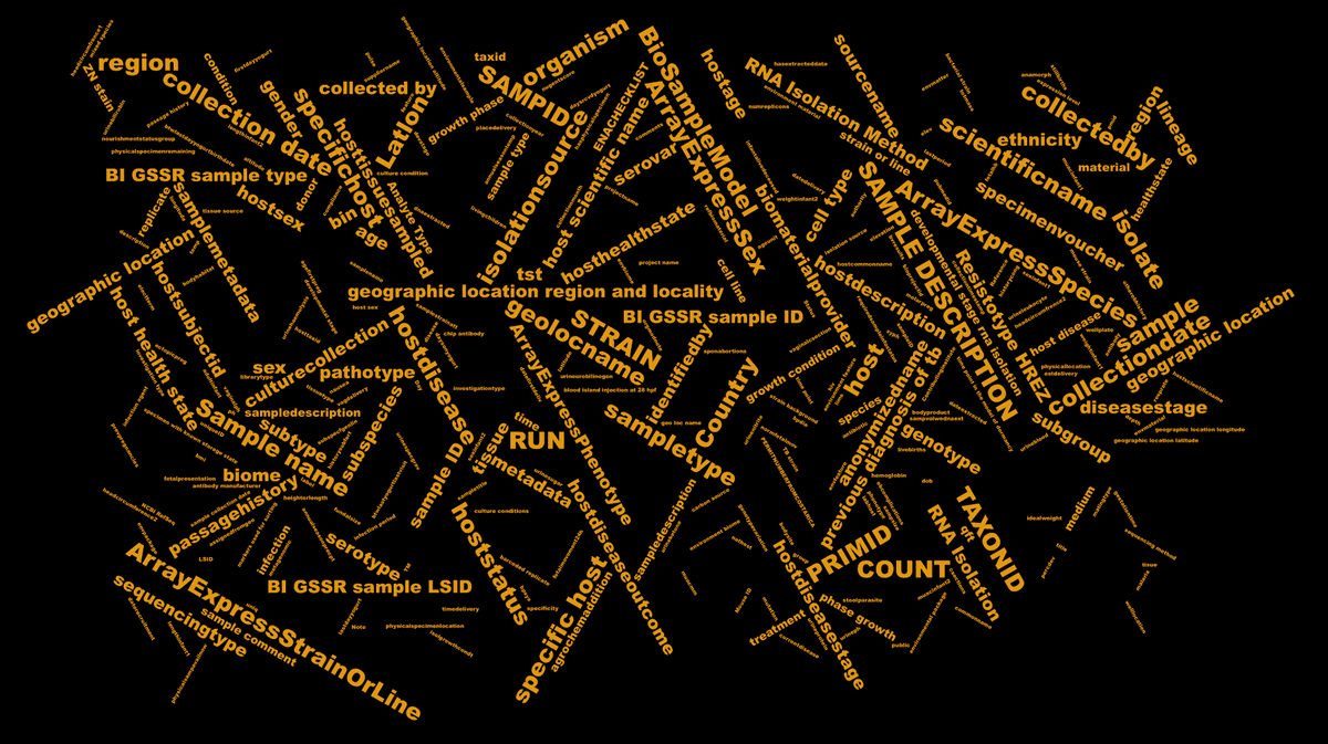 The wordcloud that was eventually used for the final academic poster