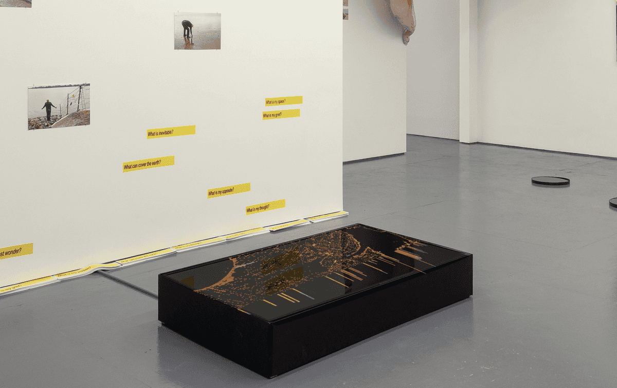 Installation of Depth to Water at the Tiger Strikes Asteroid Gallery's Catenations Show, New York, 2020